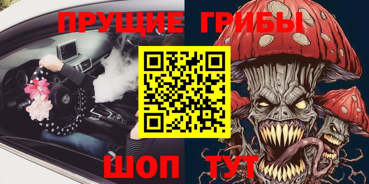 Галлюциногенные грибы Psilocybine cubensis Кизляр