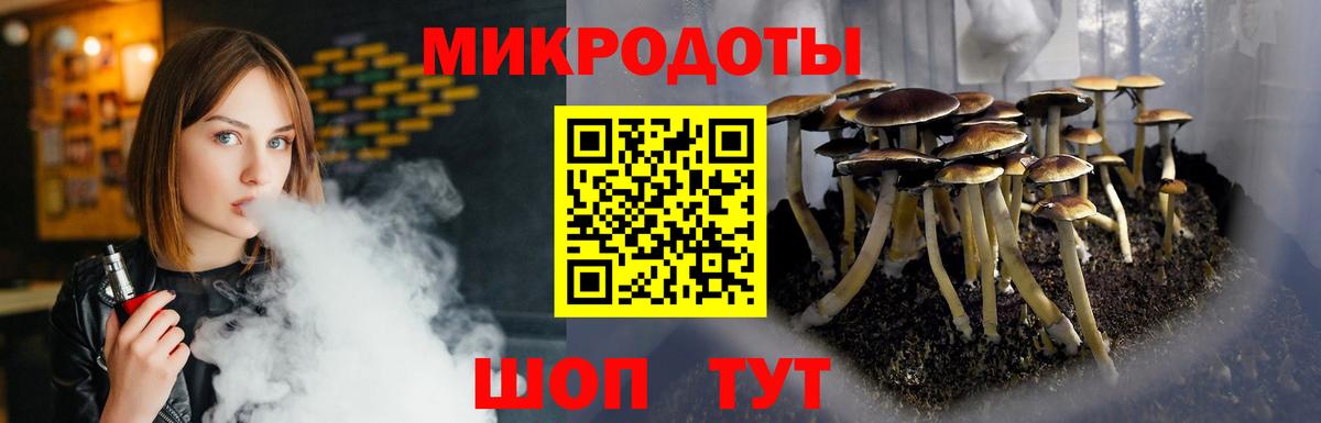 Кизляр  Галлюциногенные грибы Psilocybine cubensis  Вход с VPN 